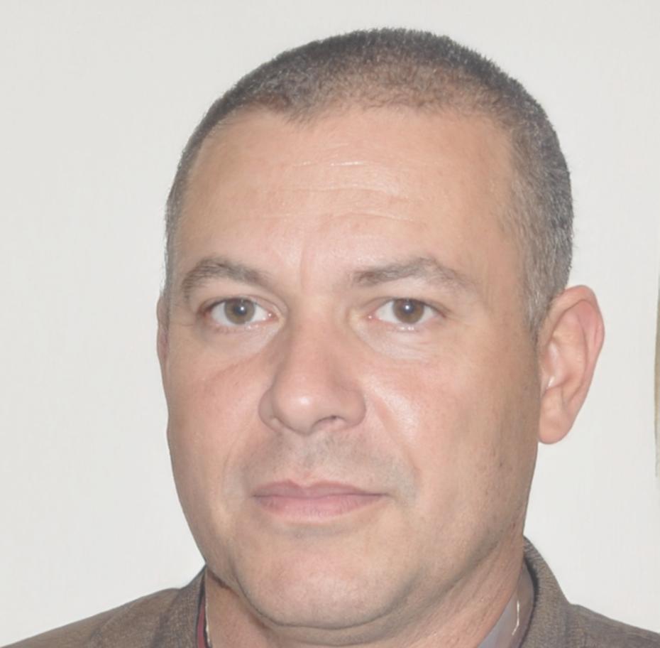 Rolf Bergmann